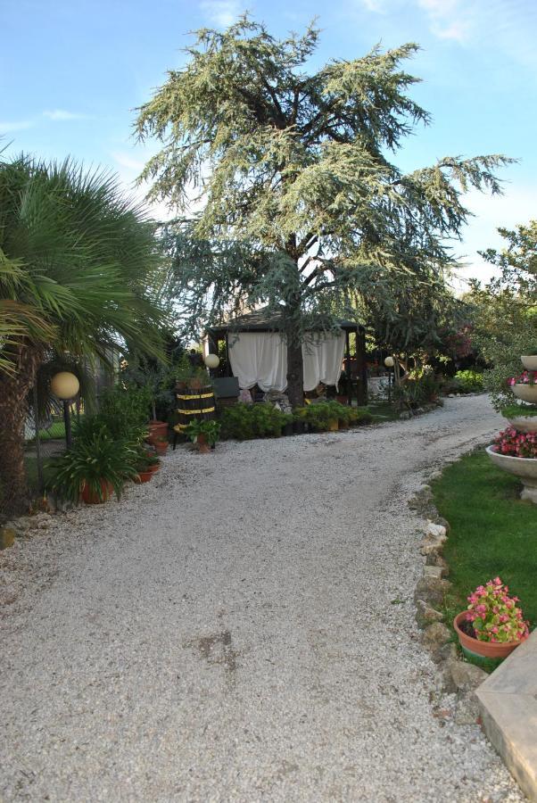 Villino Alle Terme Viterbo Luaran gambar
